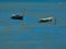 Two boats on a small part of the Mediterranean sea protected from the waves by a tongue of land towards Port-Saint Louis du RhÃ´ne