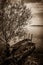 Two boats on Trasimeno lake