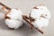 Two bolls with cottonwool on fabric close up