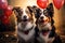 Two border collie dogs share a heart shaped balloon, showcasing affection