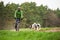 Two border collies in front of a dog scooter