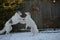 Two Borzoi playing in the snow