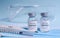 Two Bottle of Covid-19 vaccine to immunize from the Omicron Variant Coronavirus, syringe , face mask,body thermometer and
