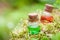 Two bottles of essential oil or magic potion on moss