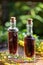 Two bottles of herbal tincture with fresh agrimony plant