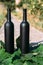 Two bottles stand on green vine leaves on a rural road, private vineyards. natural drink. wine