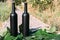 Two bottles stand on green vine leaves on a rural road, private vineyards. natural drink. wine