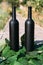 Two bottles stand on green vine leaves on a rural road, private vineyards. natural drink. wine