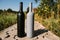 Two bottles stand on a rural road, private vineyards. natural drink. wine
