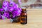 Two bottles of wild carnation extract tincture, oil, decoction, perfume. Aromatherapy and herbal medicine concept. Copy space.