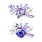 Two bouquet of roses, leaves, berries, decorative twigs. Wedding concept with flowers. Watercolor composition in blue tones for