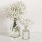 Two bouquets of white gypsophila flowers in glass bottles on table wall background. Social media, blog background