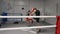 Two boxers training on ring