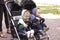 Two boy twins in a stroller in the street