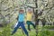 Two boys brothers kids hanging from a blossom spring tree