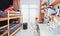 Two boys, brothers in kids room with bunk bed and wall shelves