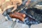 Two boys are grilling or barbecuing Polish sausages over an open fire pit in their backyard