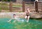 Two boys jump into the pool