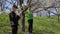 Two boys makes laboratory work exploring bloom of flowers in the park