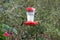 Two bright hummingbirds sitting on the opposite sides of a feeder