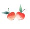 Two bright red ripe juicy tasty apples isolated watercolor hand sketch