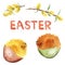 Two bright yellow chickens in red and green eggshells  as well as hand-written Easter and yellow willow twigs.