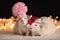 Two brother rats with knitted red caps on white snow with yellow christmas light