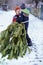 Two brothers carry a pine tree for the birth night. Two boys chose a tree to setting up a Christmas tree