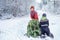 Two brothers carry a pine tree for the birth night. Two boys chose a tree to setting up a Christmas tree