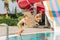 Two brothers Childs jumping and playing in swimming pool at sunny day. Kids friends boys refreshing at heat weather