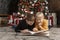 Two brothers or friends schoolboy read book lying on floor, Christmas tree. Children read Christmas story or fairy tales