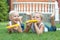 Two brothers lying on the grass and eat corn on the cob in the garden