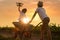 Two brothers play together in the field.Child pilot aviator with airplane dreams of traveling.