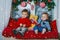 Two brothers sitting on new year decorated window