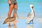 Two Brown Pelicans Pelecanus occidentalis walking on the beach among people in Varadero Cuba