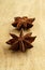 Two brown star anise