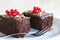 Two brownies with redberries on top, served in a plate on a wooden table