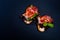 Two bruschetta sandwiches with jamon, tomatos, lettuce leaves and green sprouts.