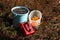 Two buckets with a manual harvester for picking berries