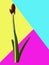 Two buds of amaryllis plant isolated on colorful blue, yellow, pink background closeup