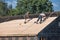 Two builders busy with reparing roof of wooden shed