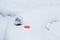 Two bullfinches in a glass ball with snow.