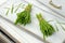 Two bundles of freshly harvested barley grass