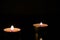 Two burning candles in the darkness. Mystery background