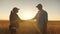 Two business farmers, a man and woman, shake hands tightly. farmer and agronomist are talking in wheat field against