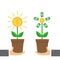 Two businessman hand holding Growing paper money tree shining coin with dollar sign Plant in the pot. Financial growth concept.