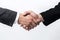 Two businesspeople shaking hands white background