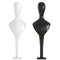 Two bust of mannequins black and white on stands on an isolated background. 3d rendering. Jewelry holder