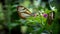 Two Butterflies posing on the branch of a plant