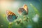 Two butterflies in a spring meadow against the background of blurred nature and sun rays, a forest meadow with a lot of beautiful